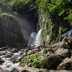 Dachserfall