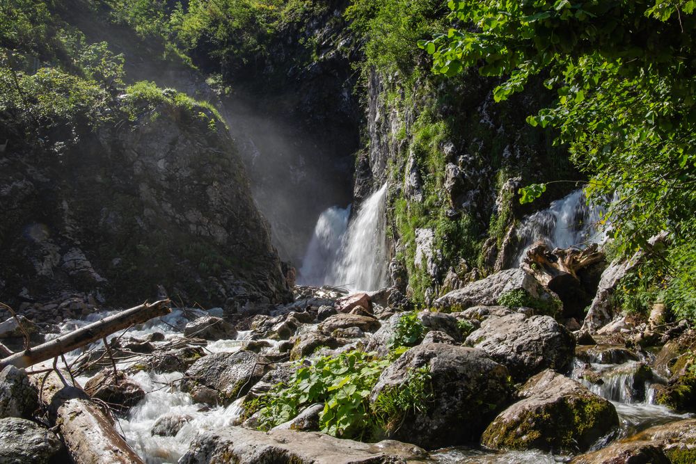 Dachserfall