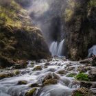 Dachserfall