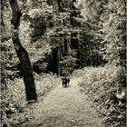 dachshund encounter