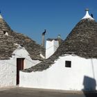 DACHSKULPTUR-ALBEROBELLO