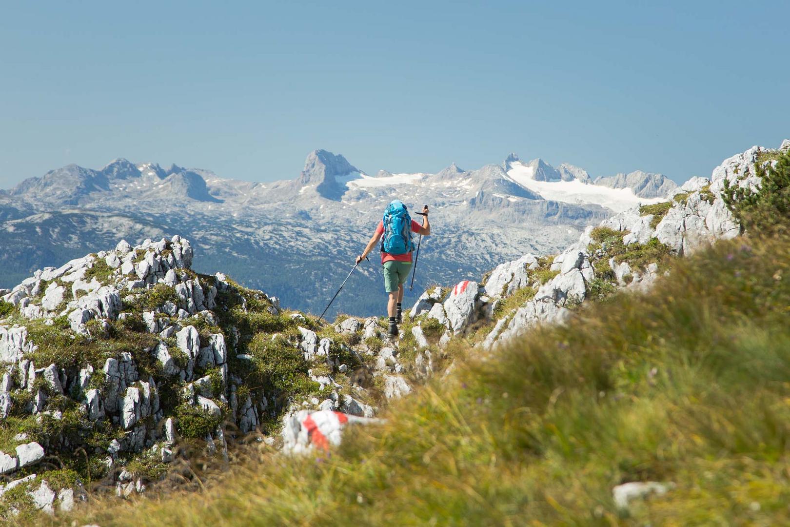 Dachssteinblick