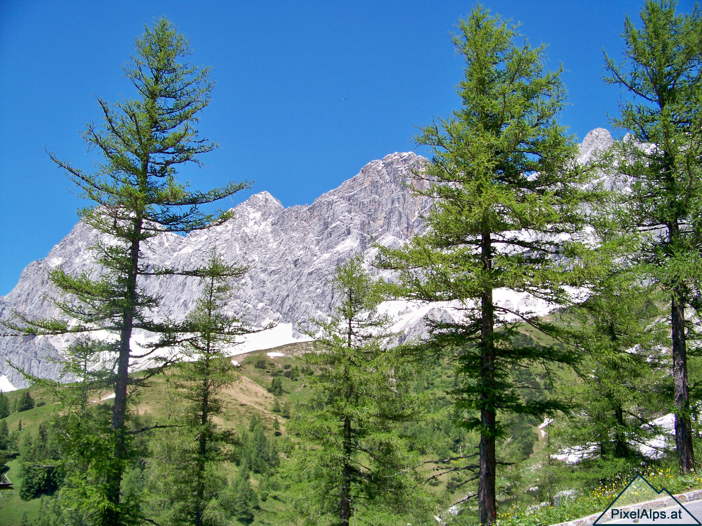 Dachstein