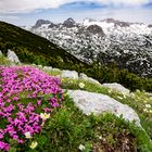 Dachstein-Gebirge