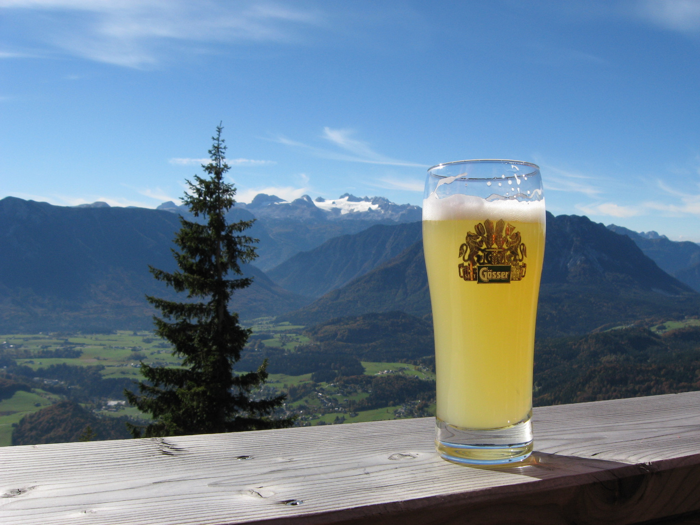 Dachstein im Hintergrund