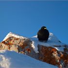 Dachstein-Tour 16