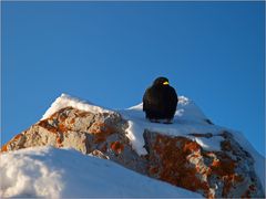 Dachstein-Tour 16