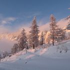 Dachstein Winter