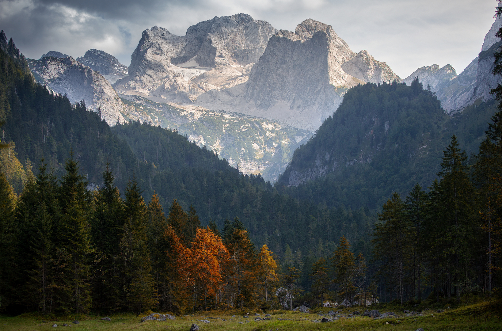 Dachsteinblick