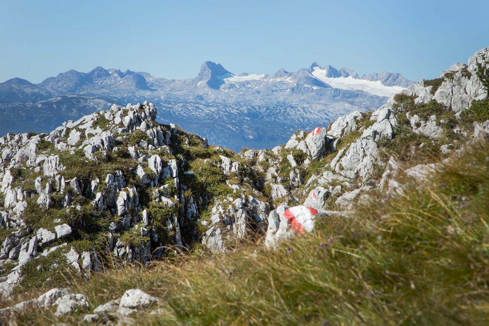 Dachsteinblick