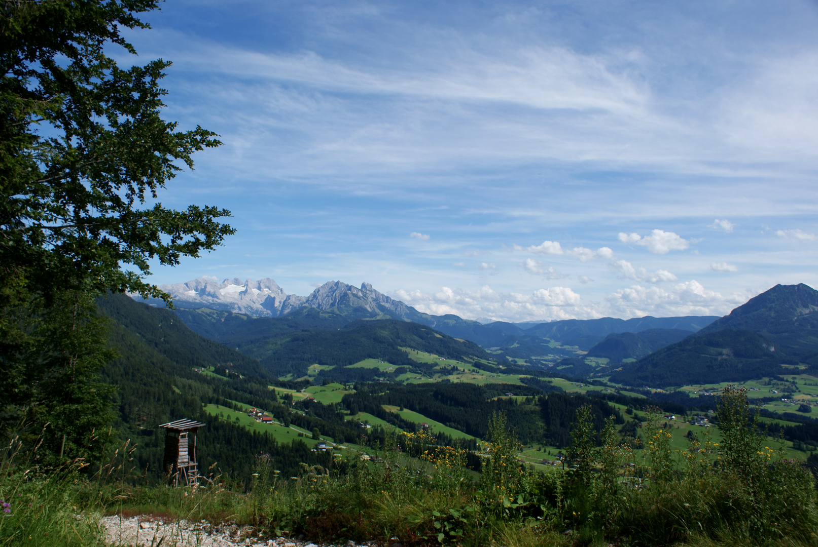 Dachsteinblick