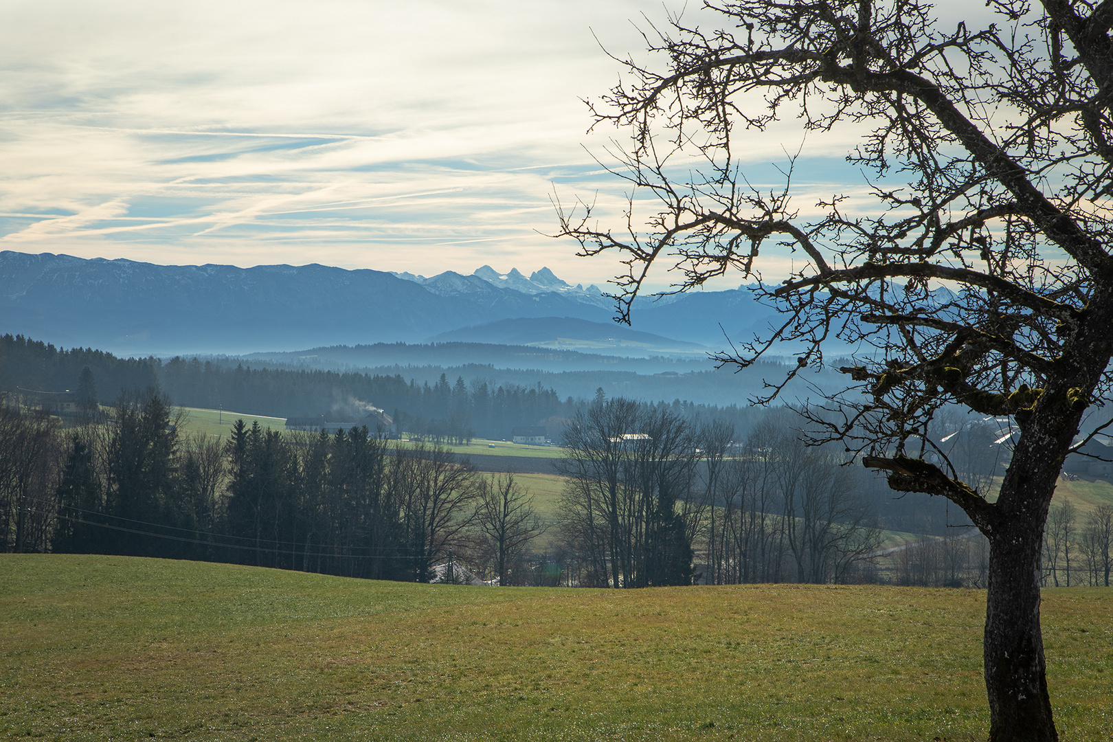 Dachsteinblick