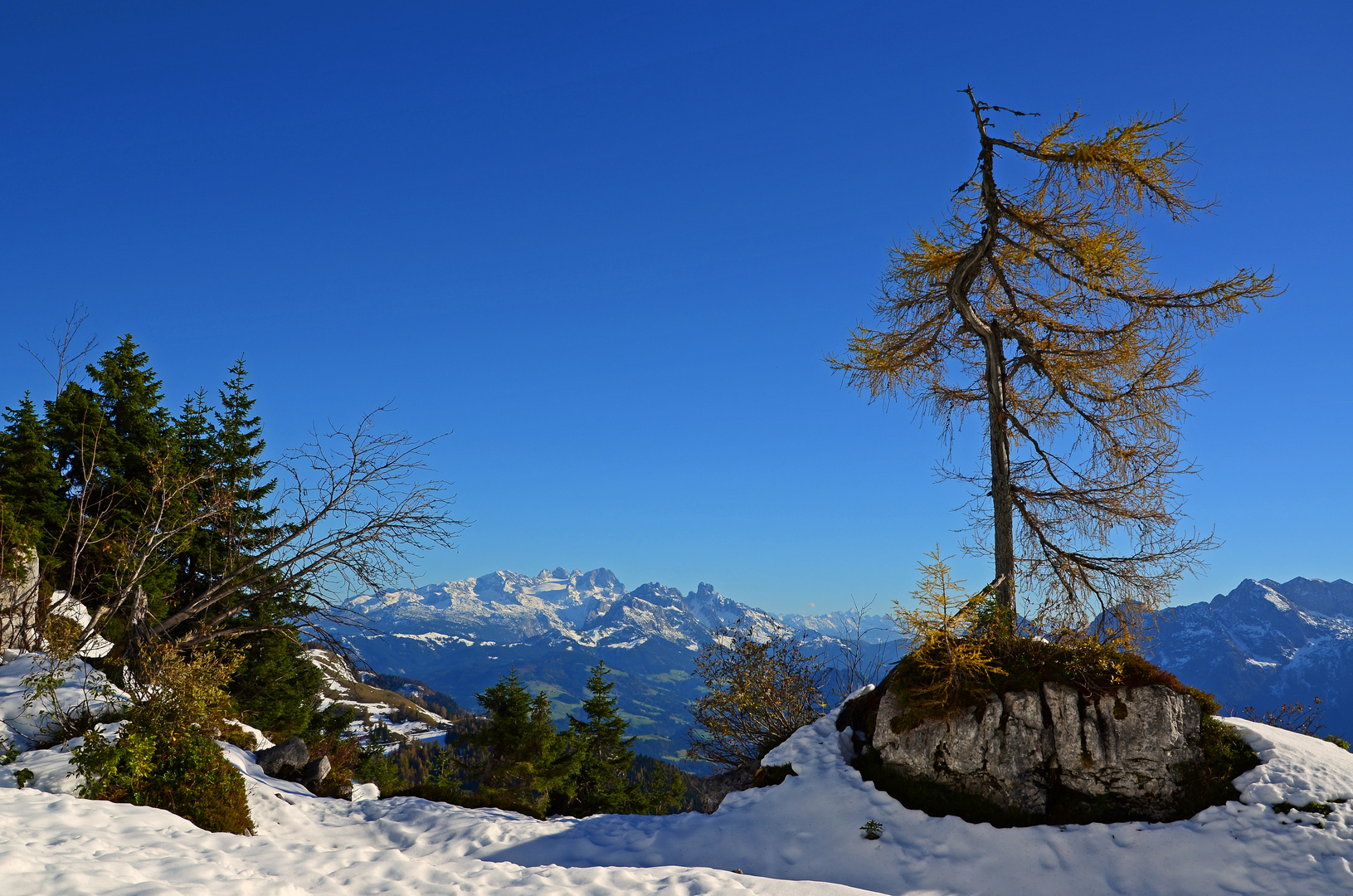 Dachsteinblick am Trattberg