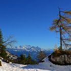 Dachsteinblick am Trattberg