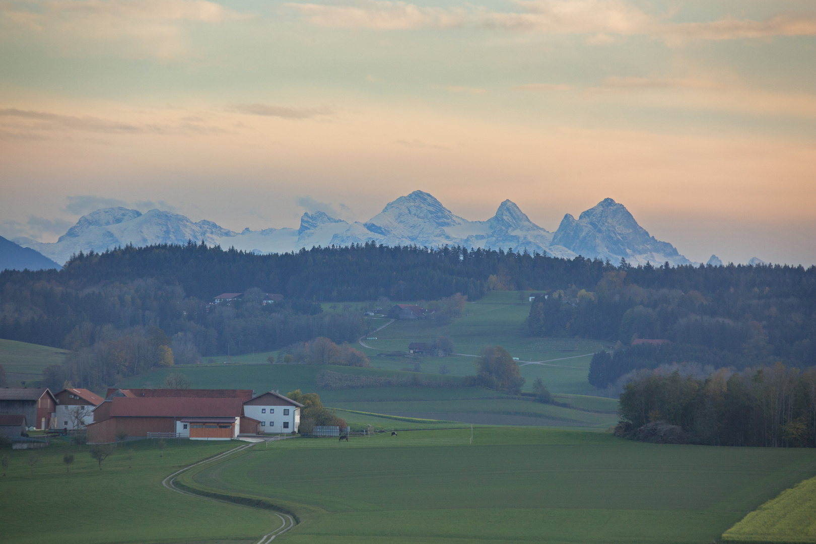 Dachsteinblick