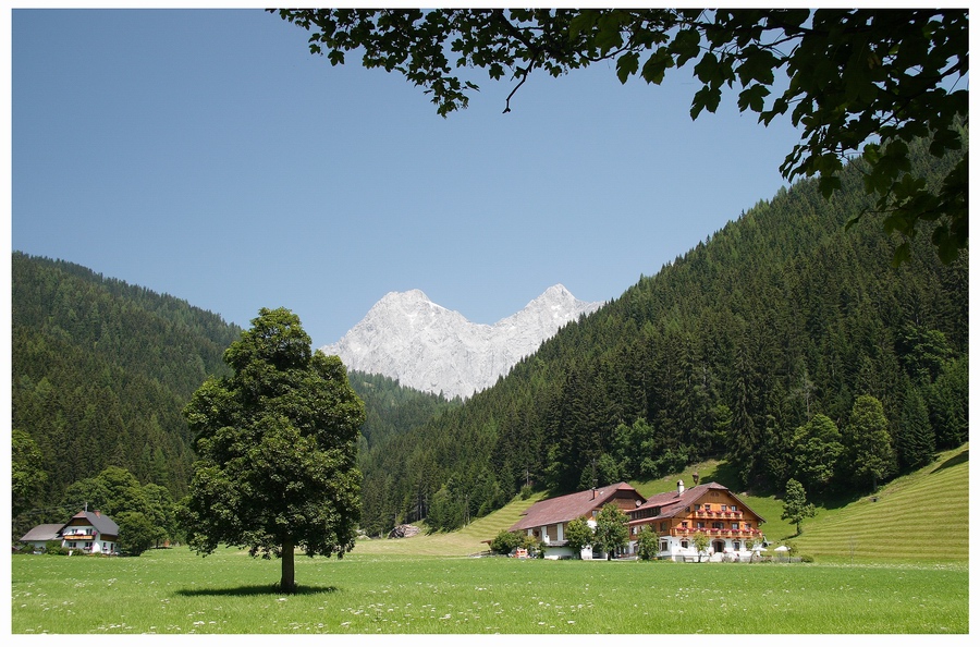 Dachsteinblick