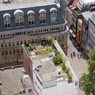 Dachterasse im Schatten des Dom