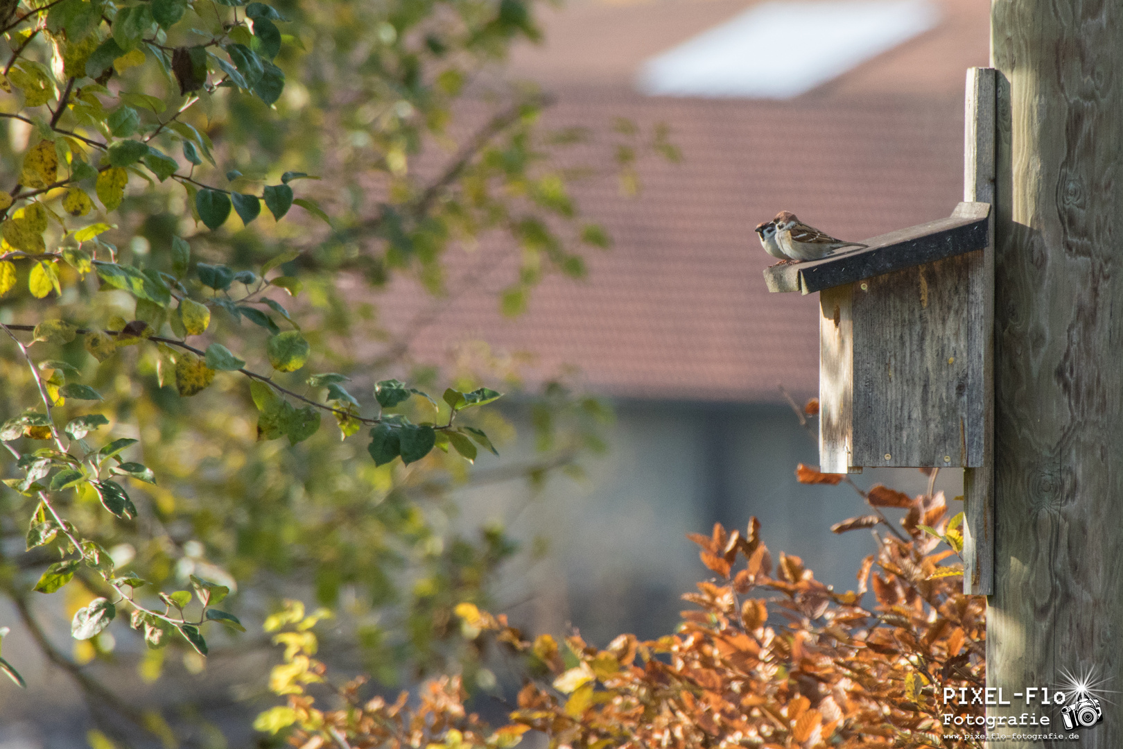 Dachterasse ist schon was feines!!!!!!!