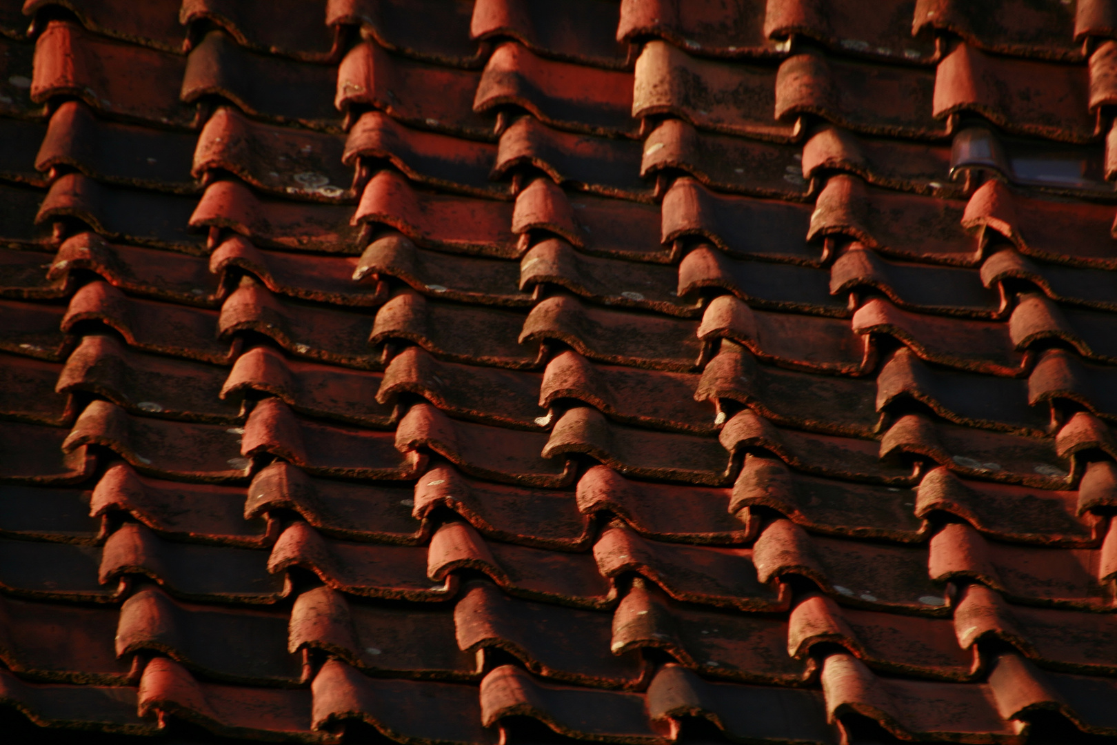 Dachziegel bei untergehender Sonne