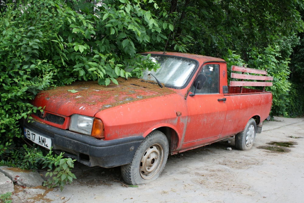 Dacia Papuc am Ende