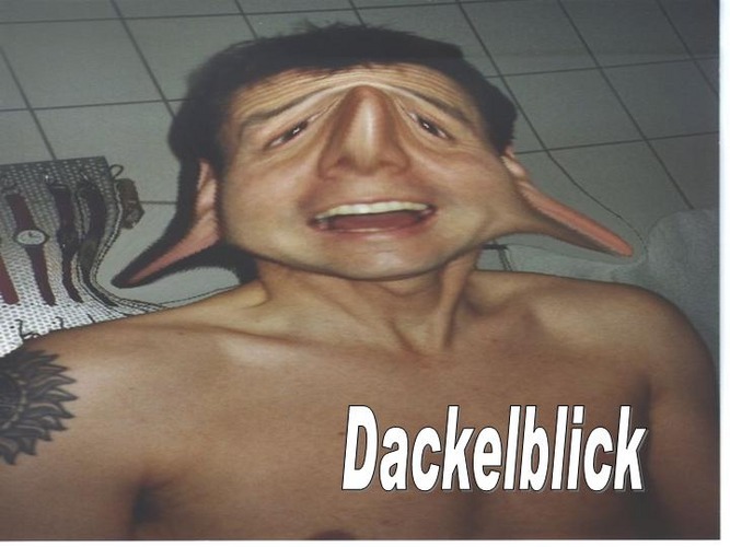 Dackelblick