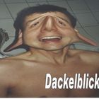 Dackelblick