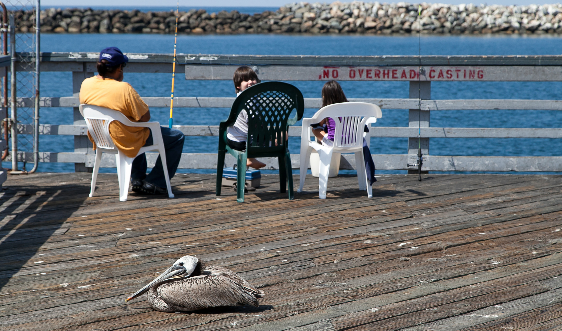 Dad, two kids and one brown Pelican ;)