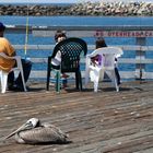 Dad, two kids and one brown Pelican ;)