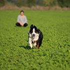 Daddy nervt, nur wegen eines Full Speed Fotos seines Hundes schickt er mich in die Botanik.