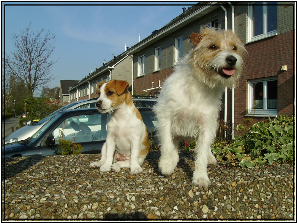 Daddy und Tochter