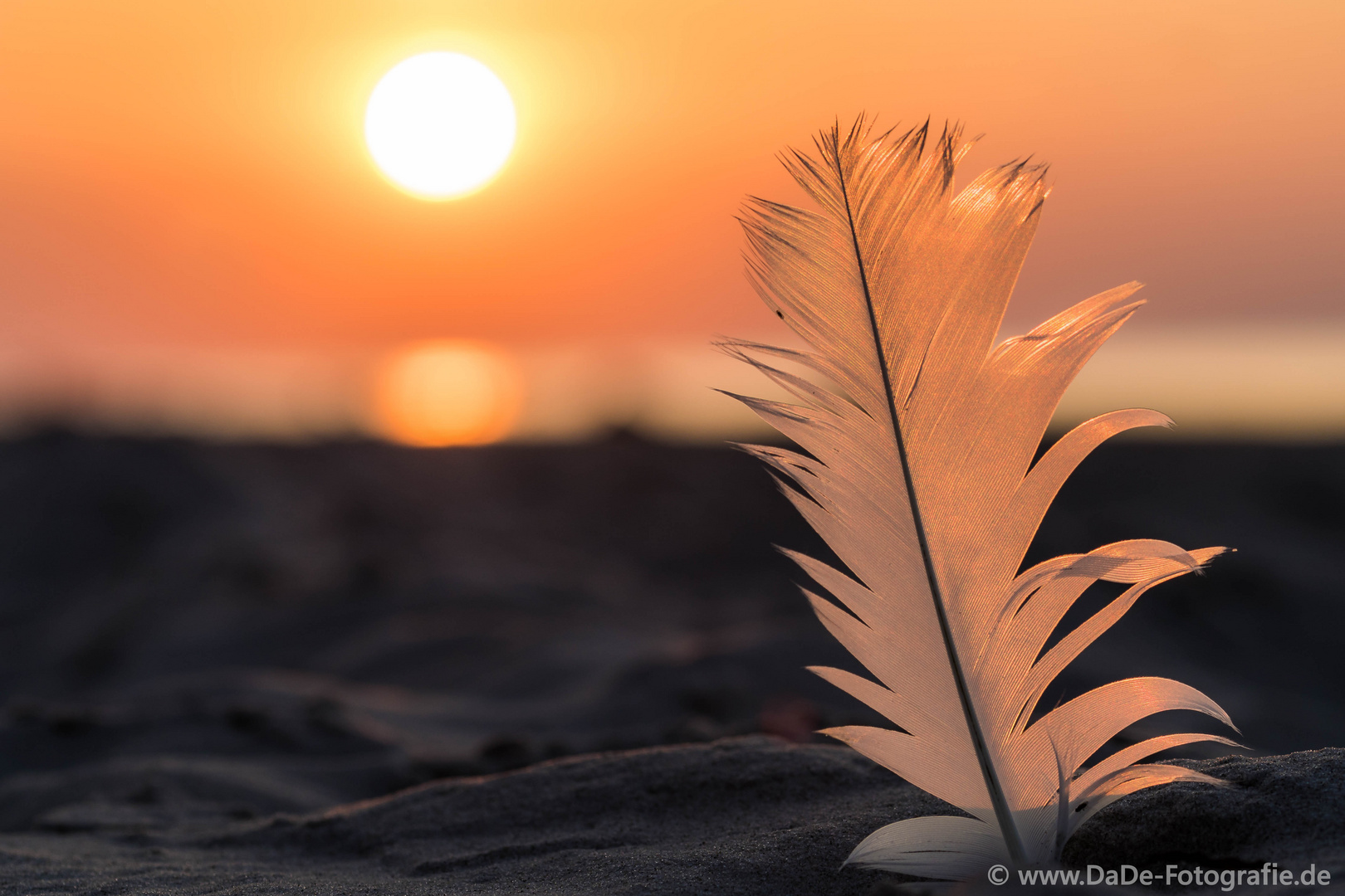 DaDe-Fotografie.de ein Abend am Strand