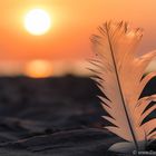 DaDe-Fotografie.de ein Abend am Strand