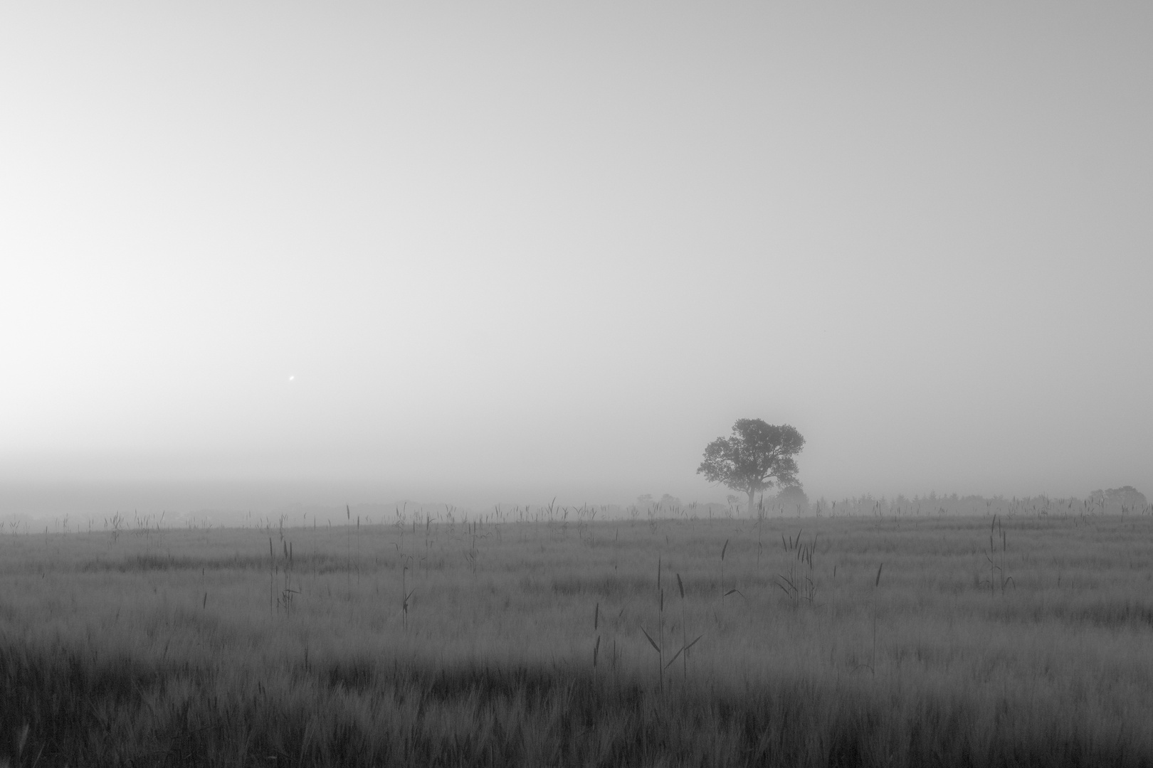 DaDe-Fotografie.de Morgengrauen