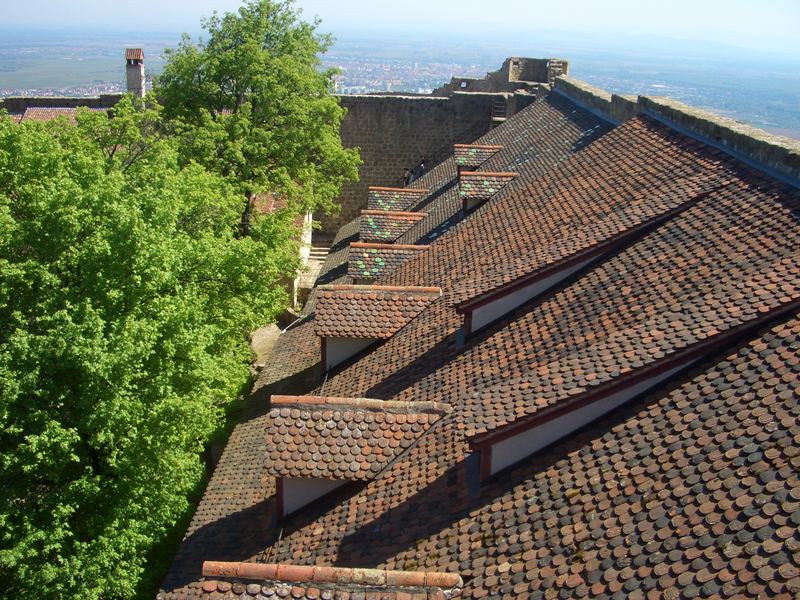 Dächer der Burg Hohlandsberg