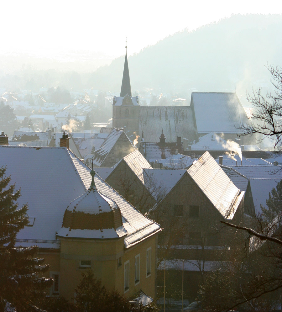 Dächer einer Stadt