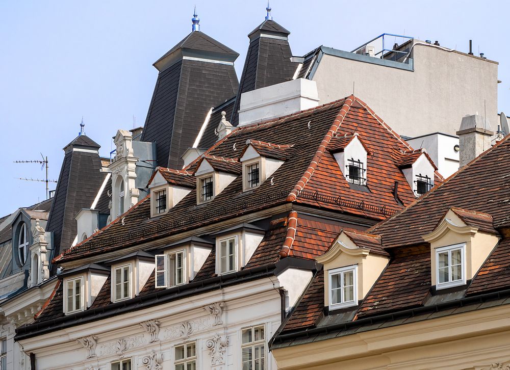 dächer und fenster