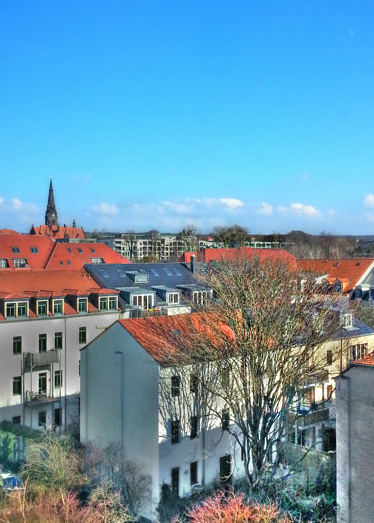 Dächer von Dresden-Neustadt