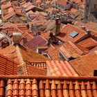 Dächer von Dubrovnik (32 von 1)
