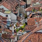 Dächerlandschaft in der historischen Altstadt von Bern (2)