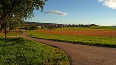 " Dächingen in den Abendstunden "