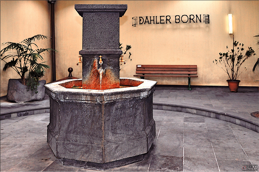 Dähler Born