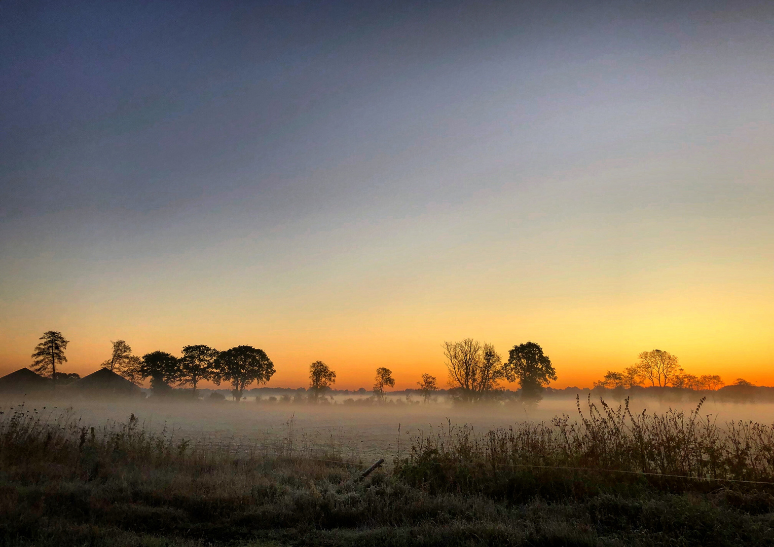 Dähnickhorst am Morgen 