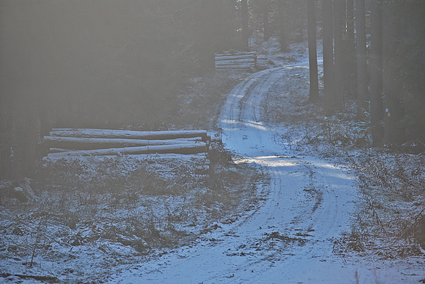 Dämmerlicht...