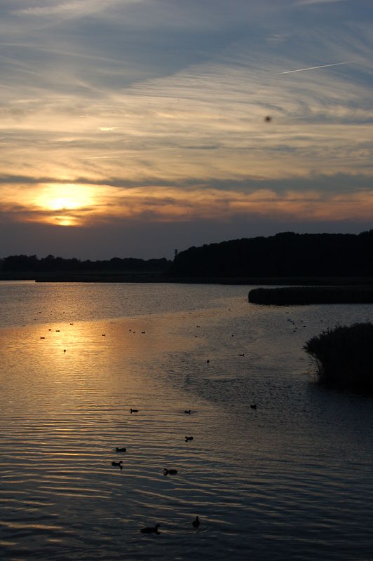 Dämmerndes Heiligenhafen