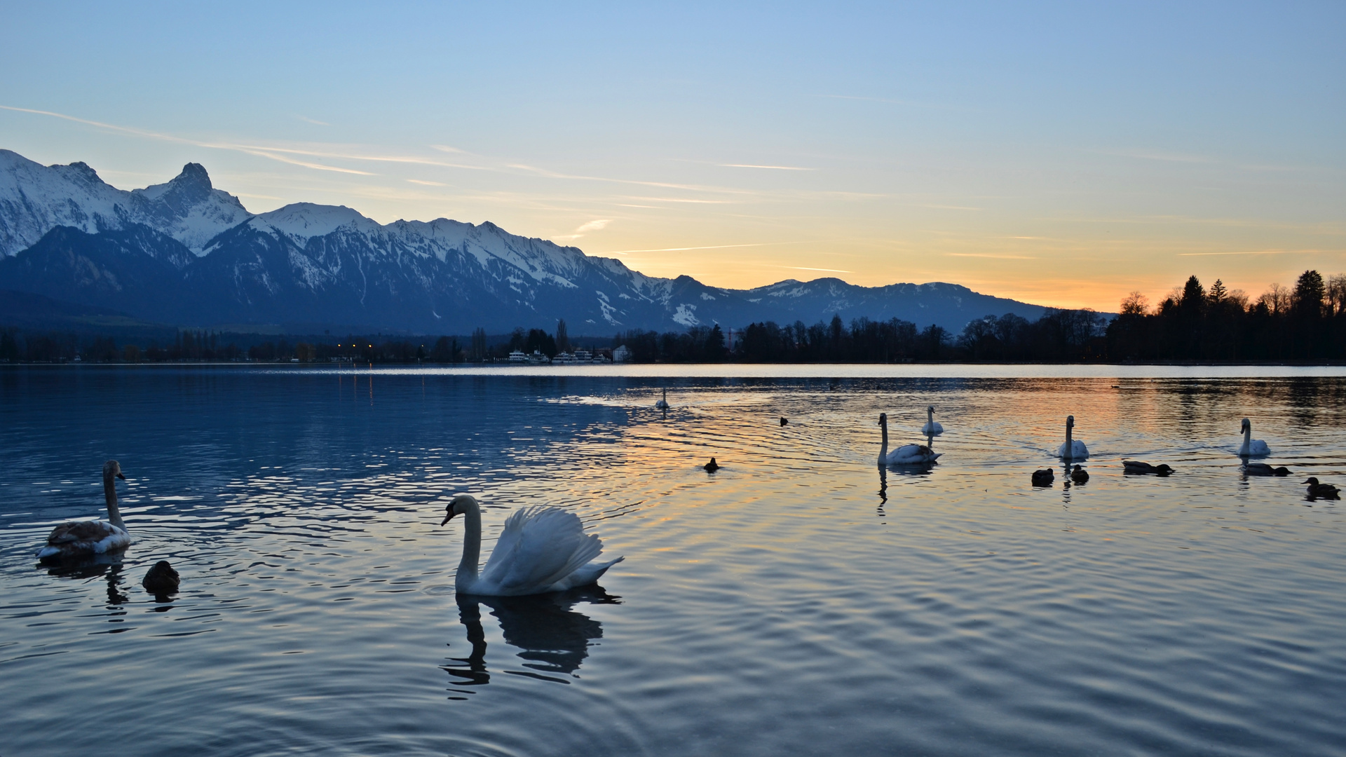 Dämmerstunde am Thunersee