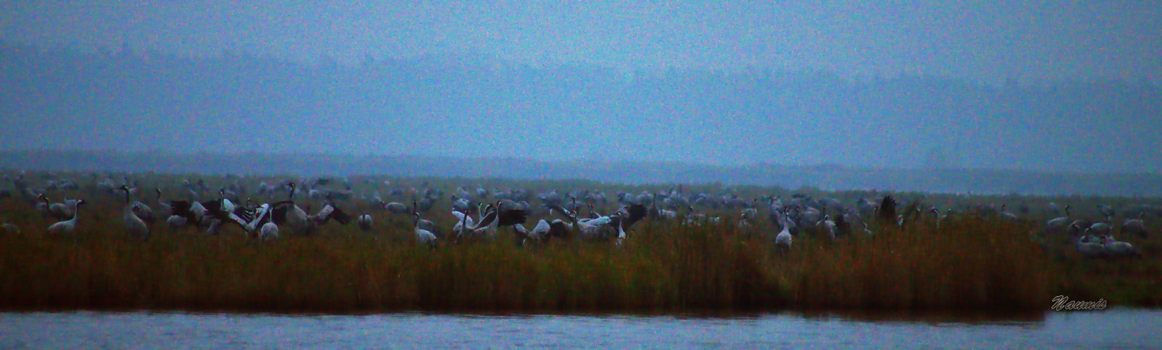 Dämmerstunde-Darss-Bodden