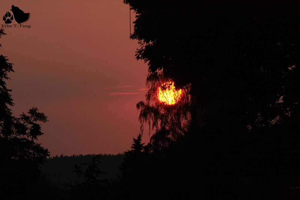 Dämmerung von Kiba T. Fang 