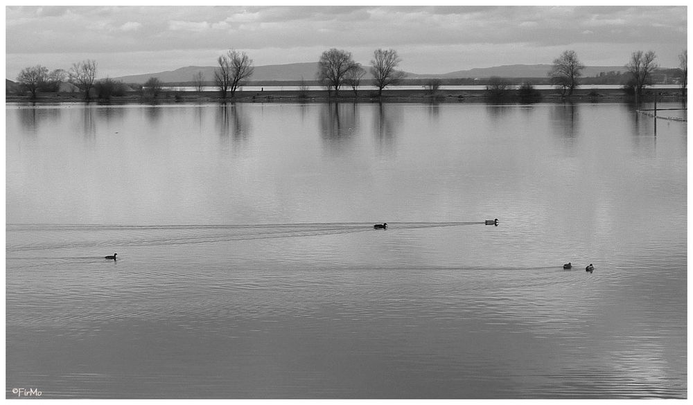 Dämmerung am Bodensee