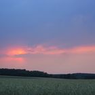 Dämmerung am Feldrand