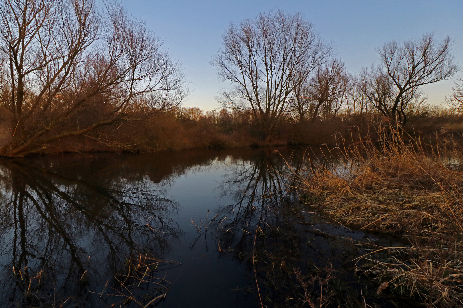 Dämmerung am Fluss